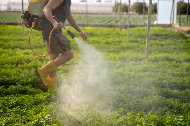 Reliable Rangely, CO Pest Control Solutions