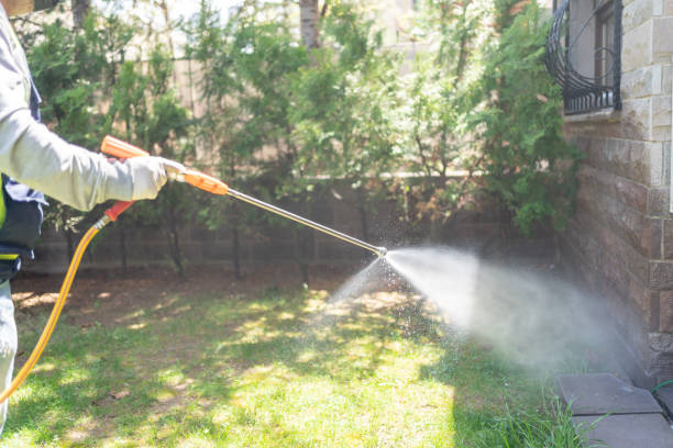 Pest Prevention Services in Rangely, CO