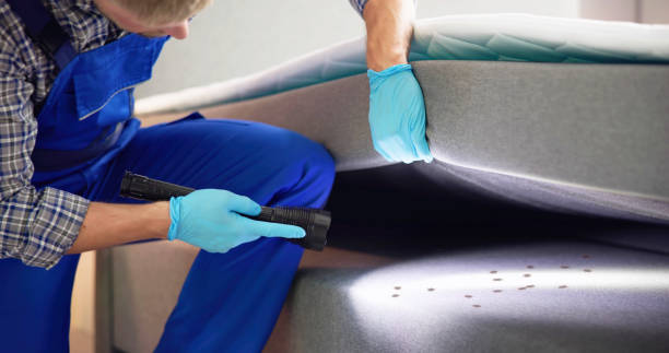 Best Exterminator Services  in Rangely, CO